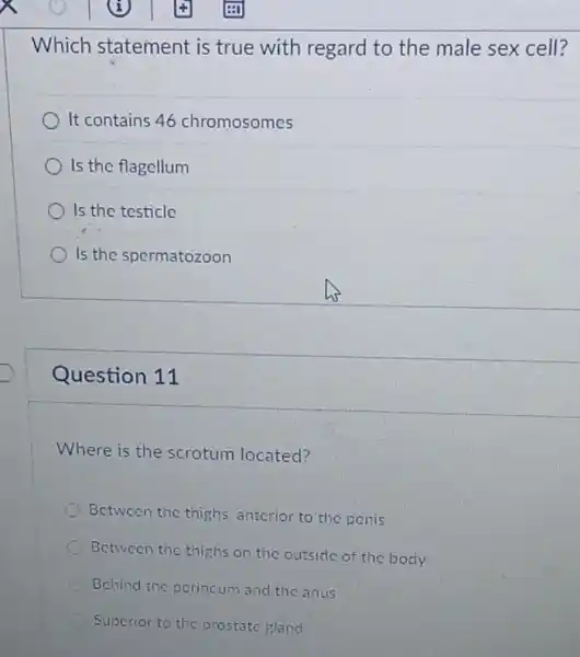 Which statement is true with regard to the male sex cell?
It contains 46 chromosomes
Is the flagellum
Is the testicle
Is the spermatozoon
Question 11
Where is the scrotum located?
Between the thighs antcrior to the penis
Between the thighs on the outside of the body
Bchind the pcrincum and the anus
Superior to the prostate gland