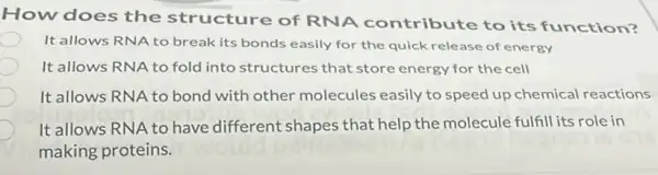 How does the structure of RNA contribute to its function?
It allows RNA to break its bonds easily for the quick release of energy
It allows RNA to fold into structures that store energy for the cell
It allows RNA to bond with other molecules easily to speed up chemical reactions
It allows RNA to have different shapes that help the molecule fulfil its role in
making proteins.