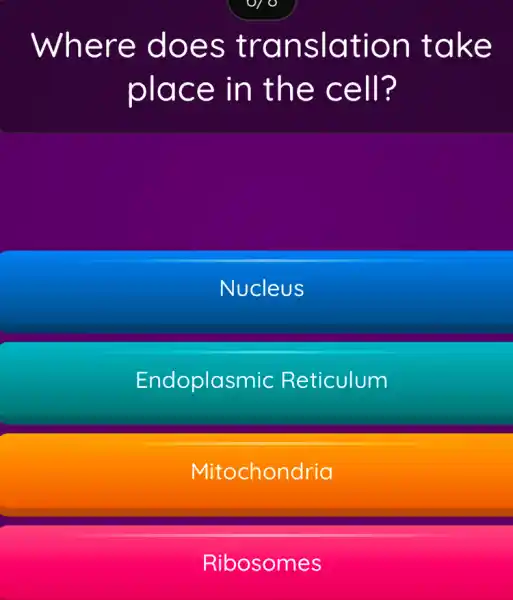 Where does translation take
place in the cell?
Nucleus
Endoplasmic Reticulum
Mitochondria
Ribosomes