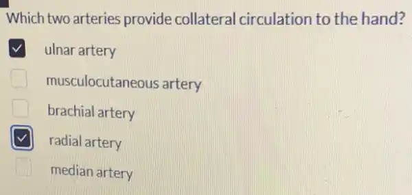 Which two arteries provide collateral circulation to the hand?
ulnar artery
musculocutaneous artery
brachial artery
radial artery
median artery