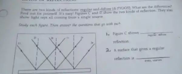 There are two kinds of reflections: regular and diffuse [di FYOOS]What are the differences?
Find out for yourself . It's easy! Figures C and D show the two kinds of reflection They also
show light rays all coming from a single source.
Study each figure Then answer the questions that go with each
1, Figure C shows
__
.
regular
reflection.
a.A surface that gives a regular
reflection is
__