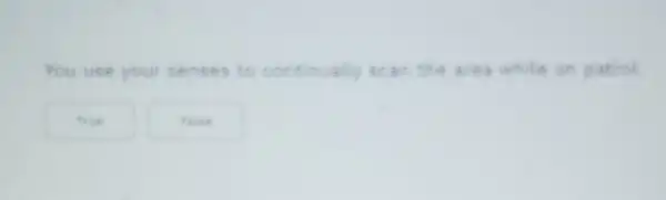 You use your senses to continually scan the area while on patrol
True