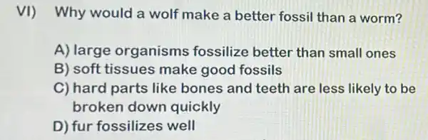 VI) Why would a wolf make a better fossil than a worm?
A) large organisms fossilize better than small ones
B) soft tissues make good fossils
C) hard parts like bones and teeth are less likely to be
broken down quickly
D) fur fossilizes well