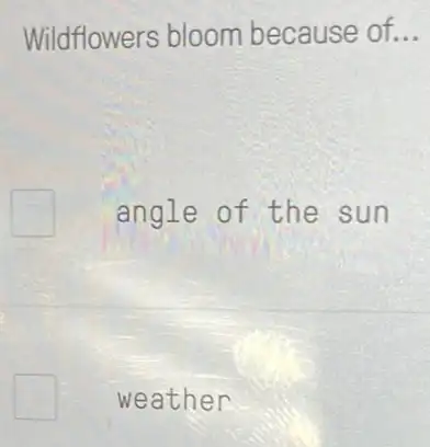 Wildflowers bloom because of __
distribute
angle of the sun
square  weather