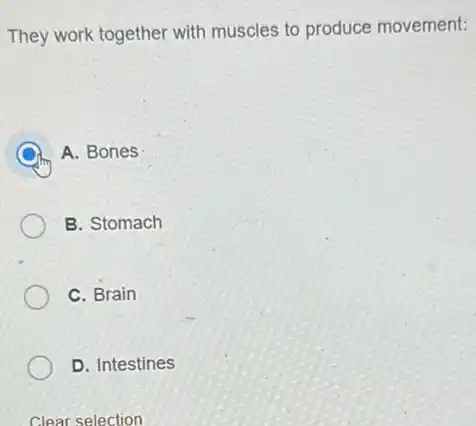 They work together with muscles to produce movement:
A. Bones
B. Stomach
C. Brain
D. Intestines
Clear selection